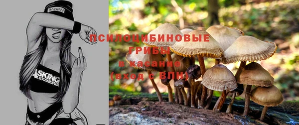 хмурый Беломорск