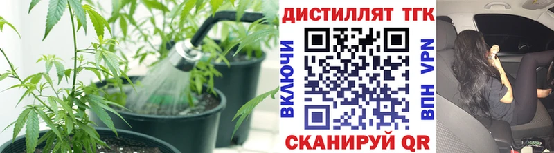 Дистиллят ТГК Wax  Кушва 